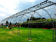 carpa tipo iglu bogota