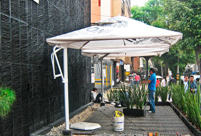 parasol carpa