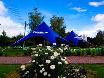 carpas elegantes para eventos